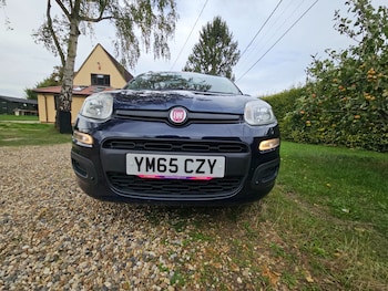 Used Fiat Panda 2015 for sale - 76034235: Photo