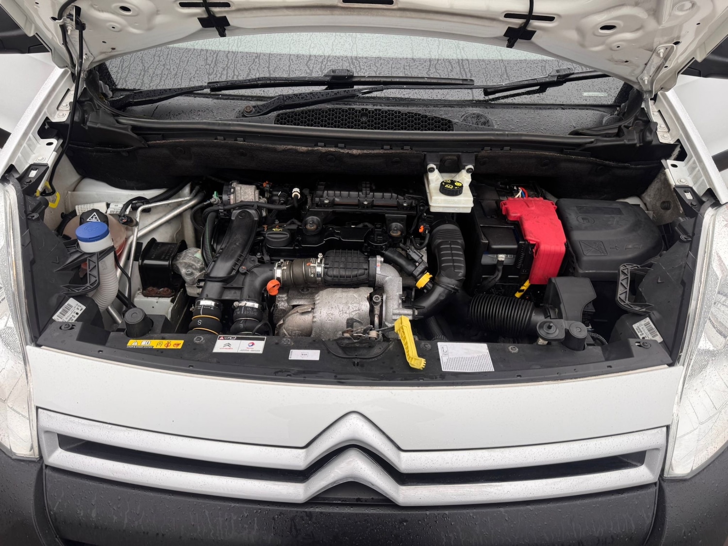 Used Citroen Berlingo 2017 for sale - 77889244: Photo 19