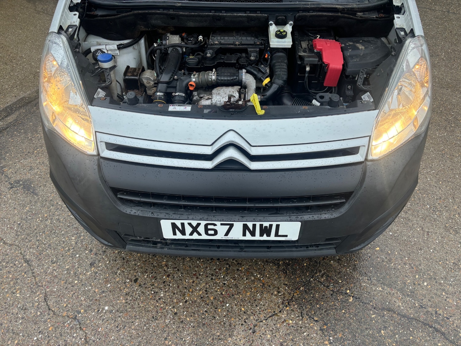 Used Citroen Berlingo 2017 for sale - 76690726: Photo 18
