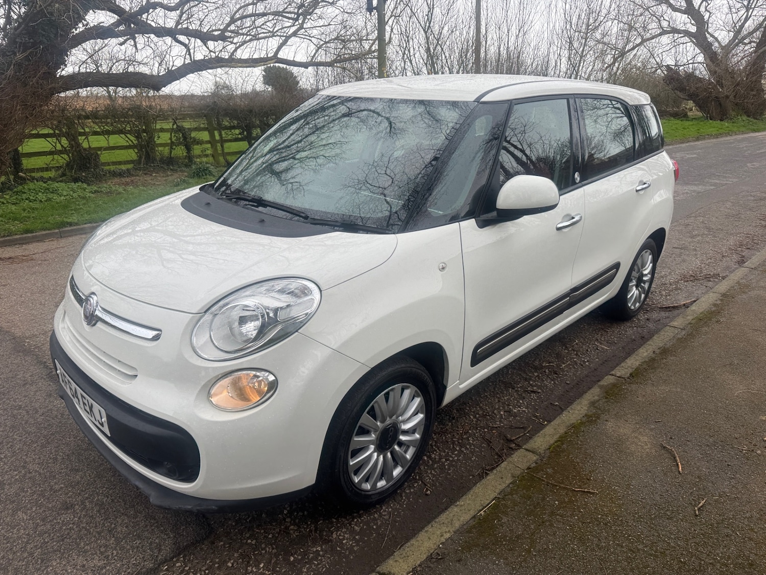 Used Fiat 500L 2014 for sale - 77901895: Photo 3