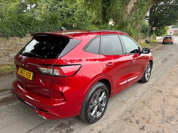 Used Ford Kuga 2022 for sale - 78950897: Photo