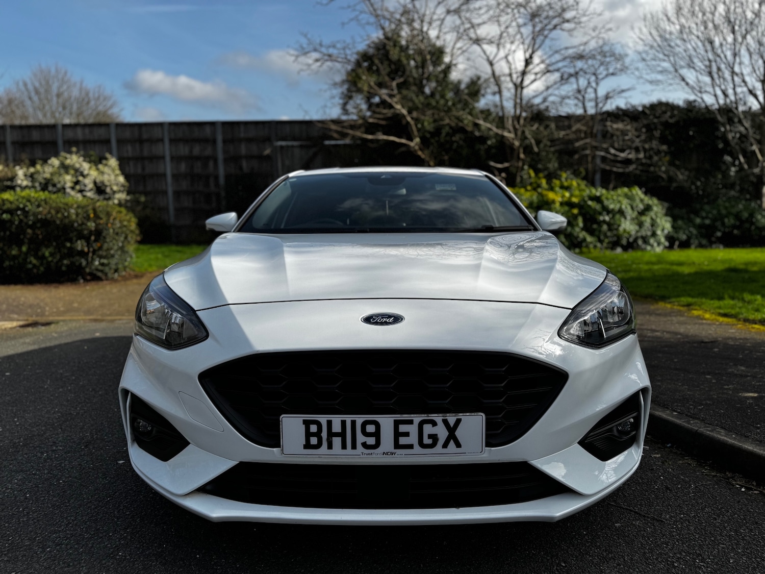 Used Ford Focus 2019 for sale - 77673720: Photo 5