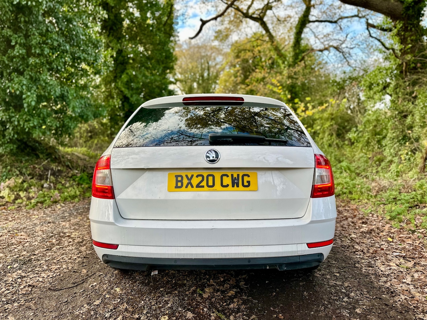 Used Skoda Octavia 2020 for sale - 77637944: Photo 12