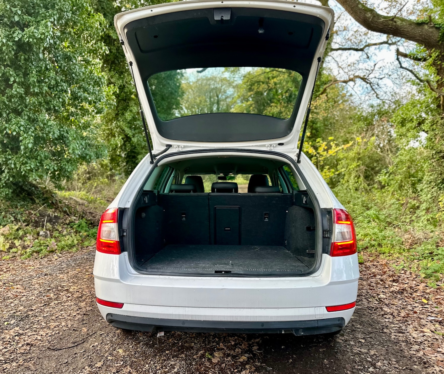 Used Skoda Octavia 2020 for sale - 77637944: Photo 13