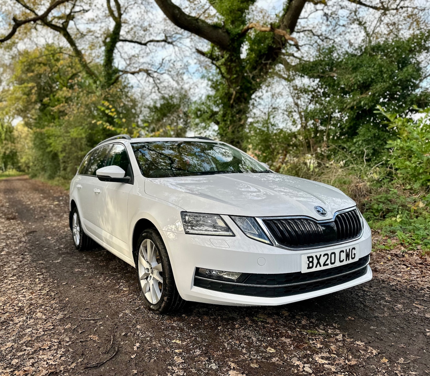 Used Skoda Octavia 2020 for sale - 77637944: Photo 2