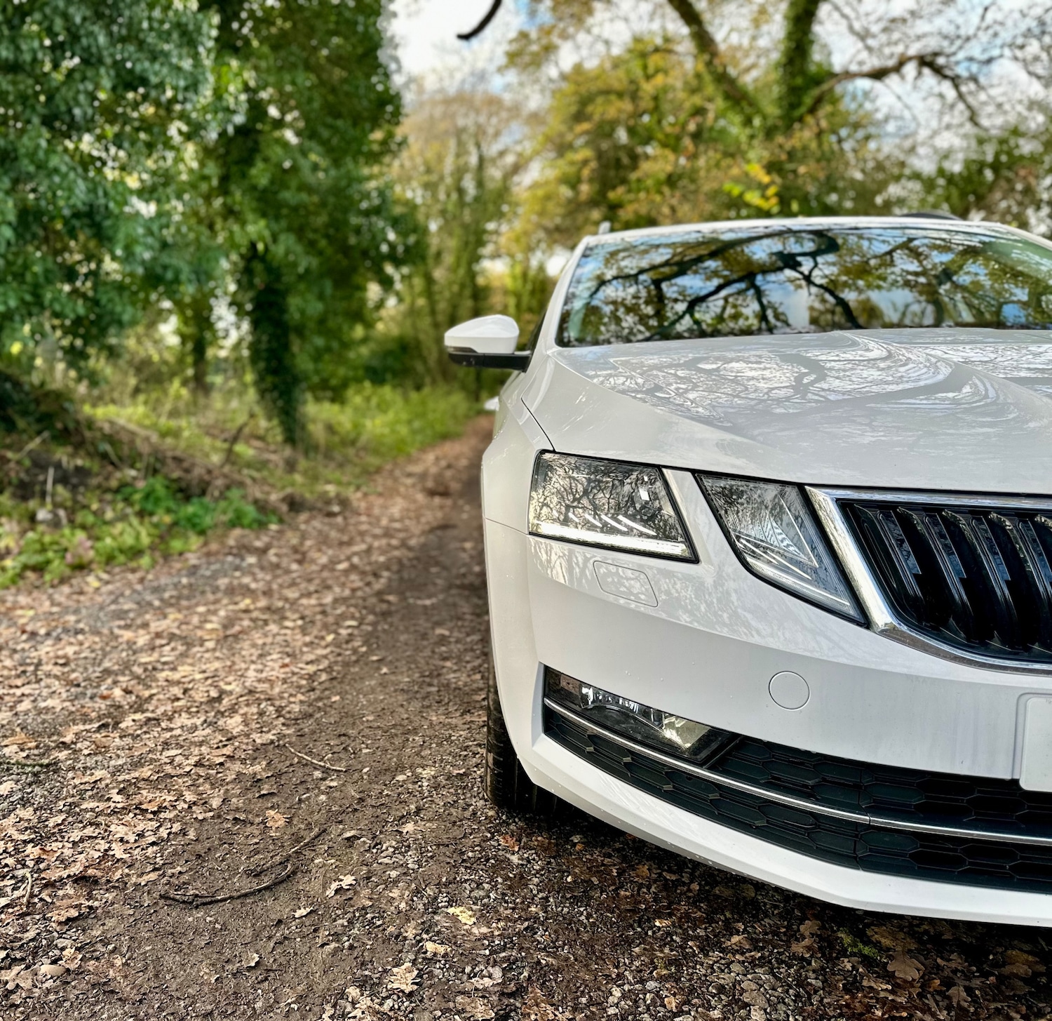 Used Skoda Octavia 2020 for sale - 77637944: Photo 3
