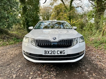 Used Skoda Octavia 2020 for sale - 77637944: Photo