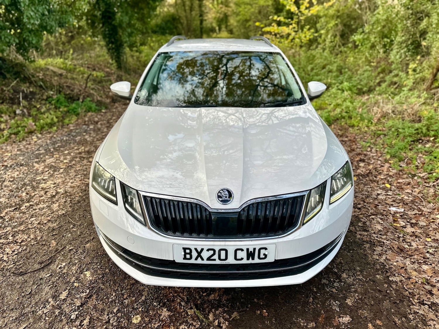 Used Skoda Octavia 2020 for sale - 77637944: Photo 5