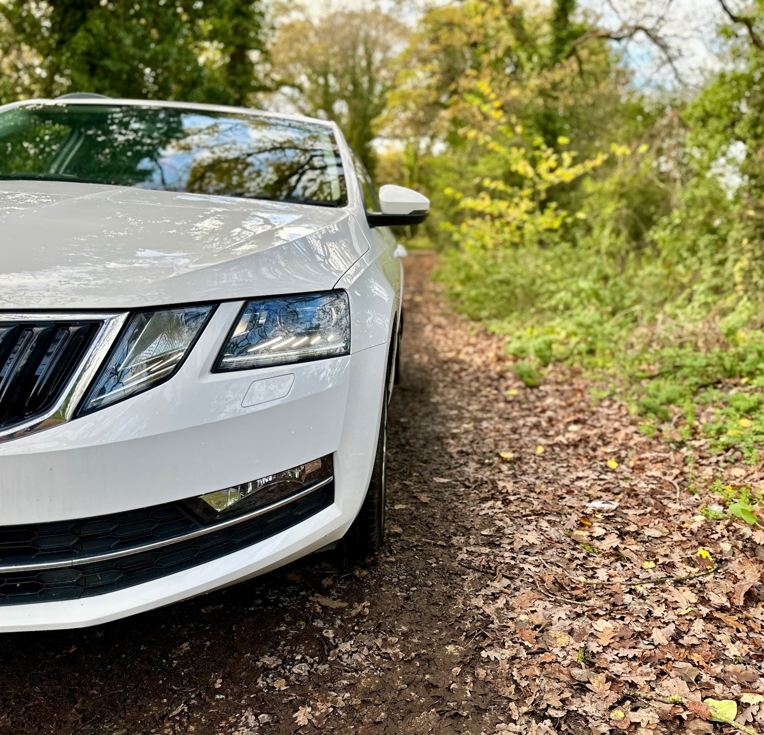 Used Skoda Octavia 2020 for sale - 77637944: Photo 6