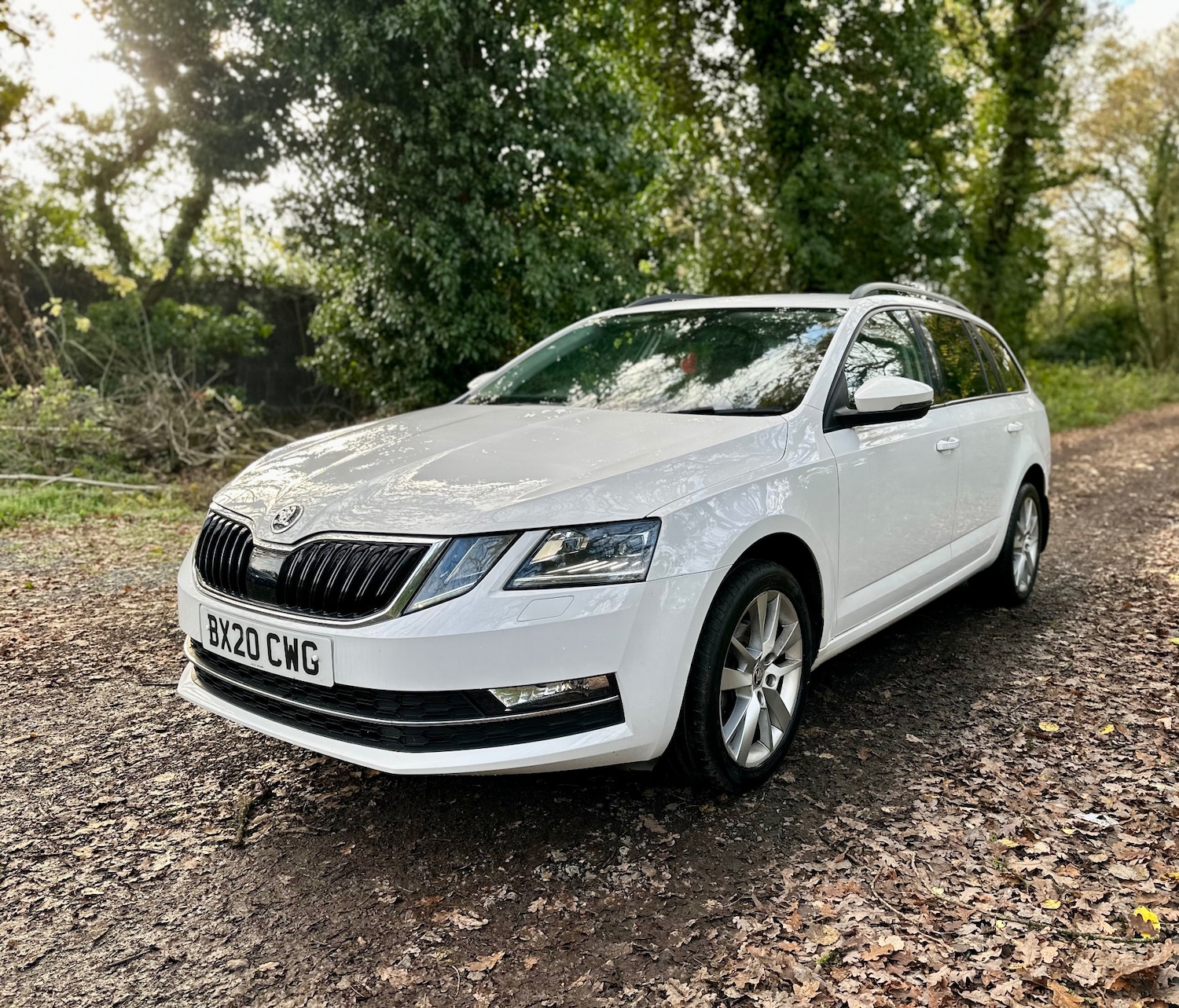 Used Skoda Octavia 2020 for sale - 77637944: Photo 7