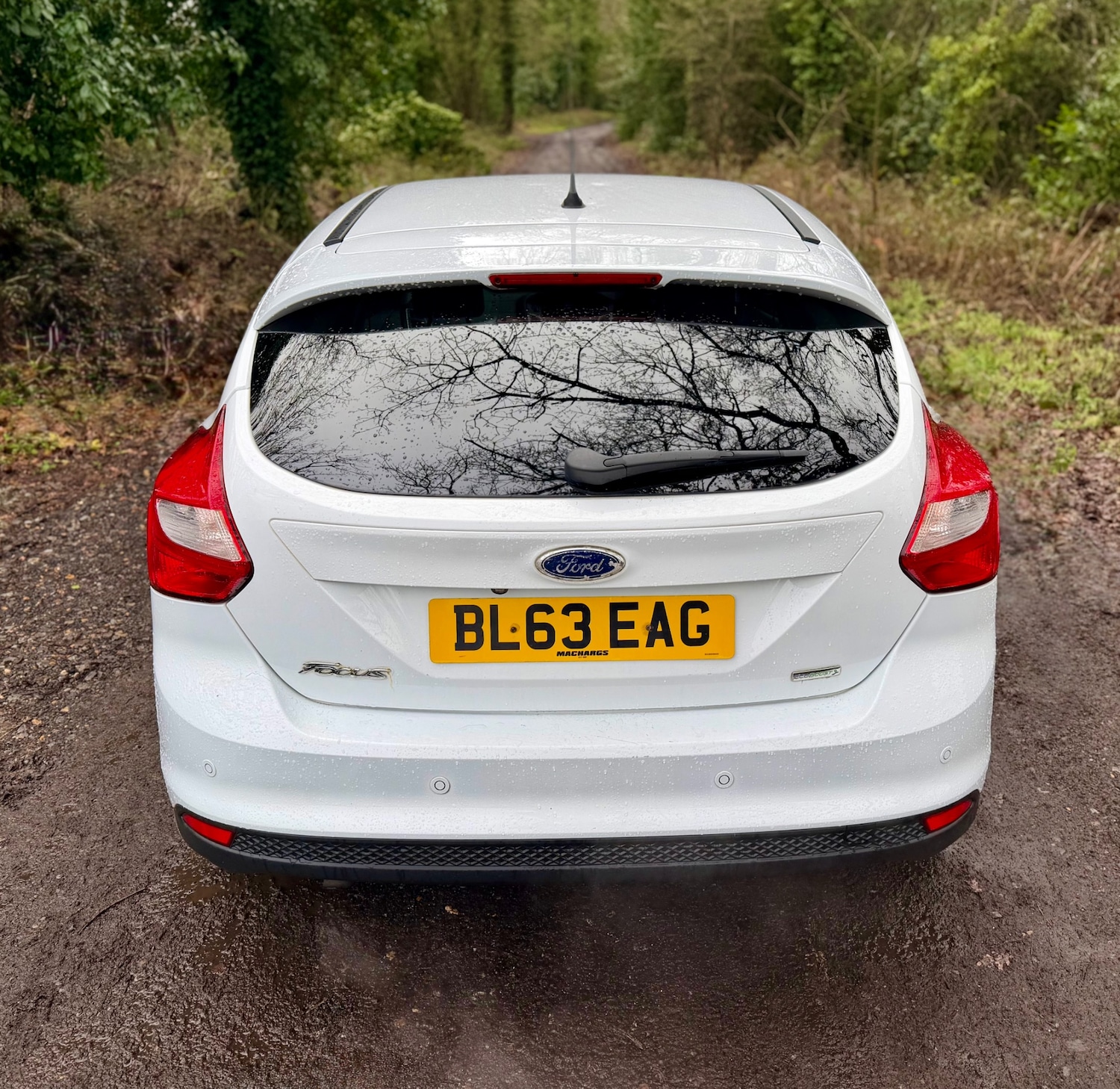 Used Ford Focus 2013 for sale - 77637950: Photo 11