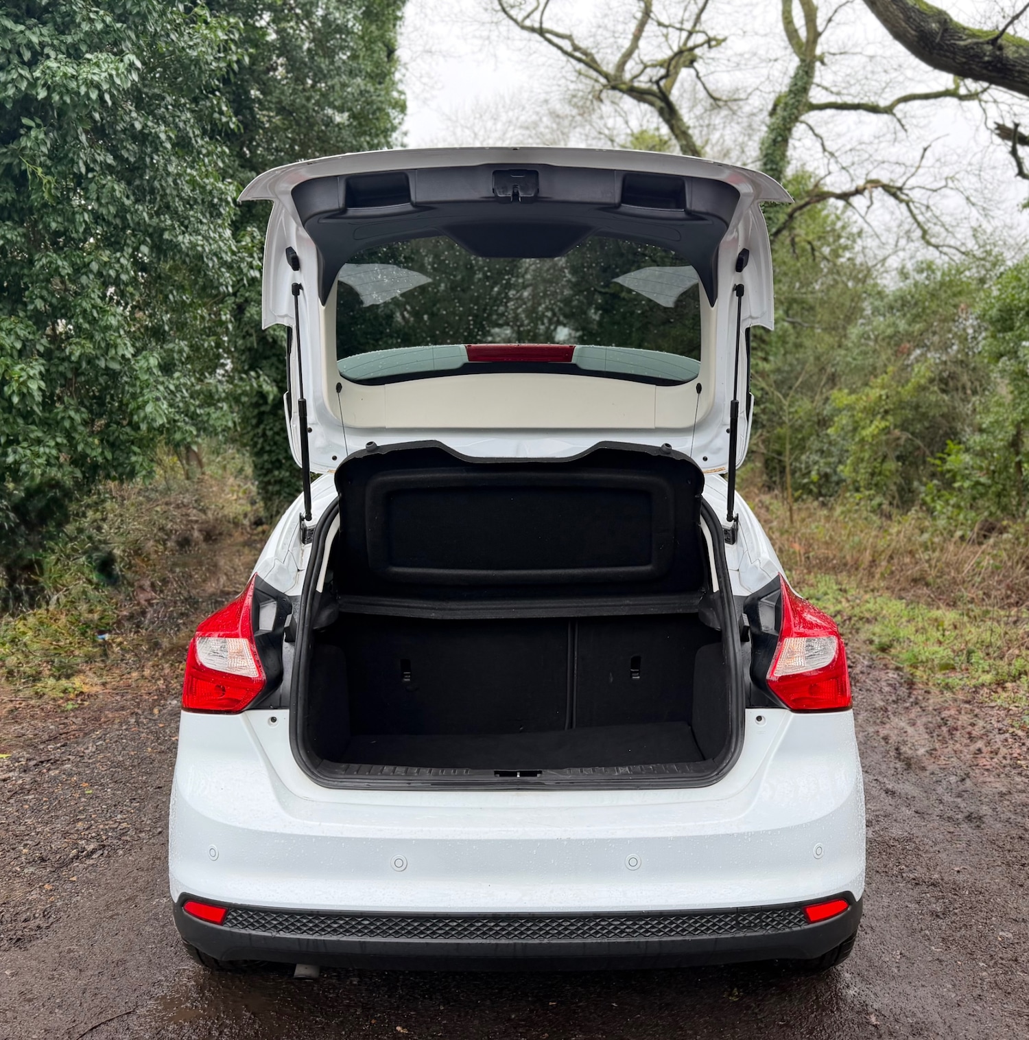 Used Ford Focus 2013 for sale - 77637950: Photo 13