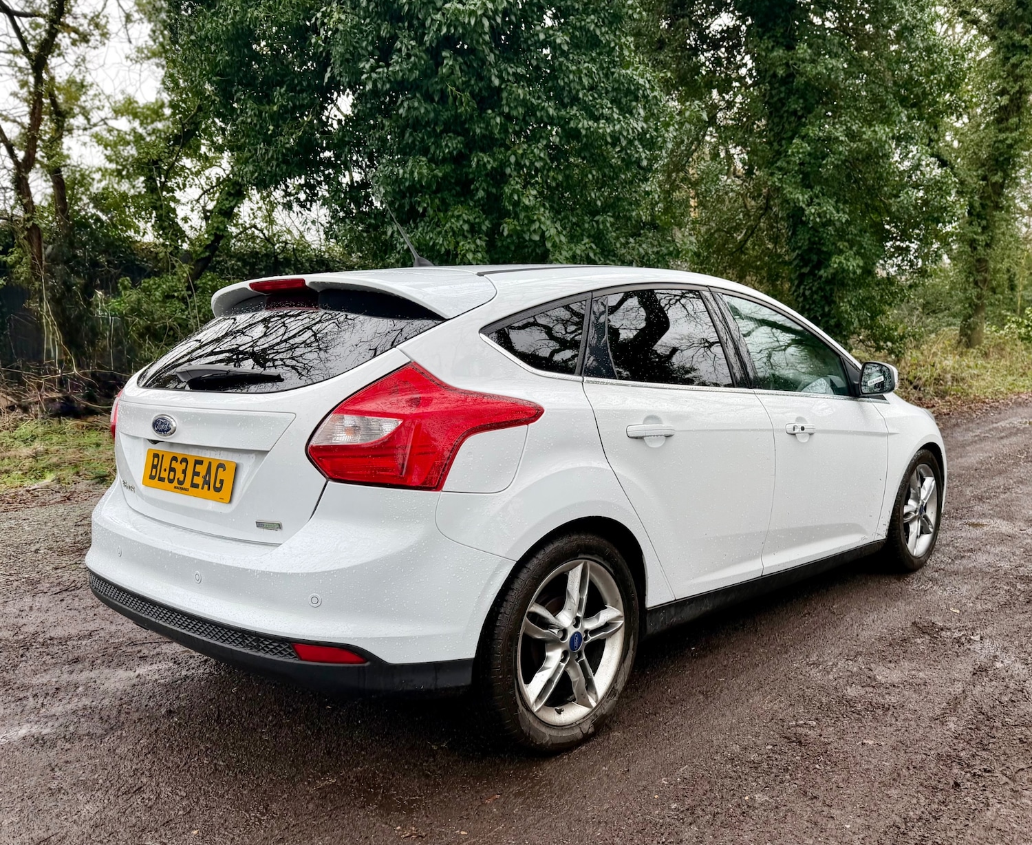 Used Ford Focus 2013 for sale - 77637950: Photo 16