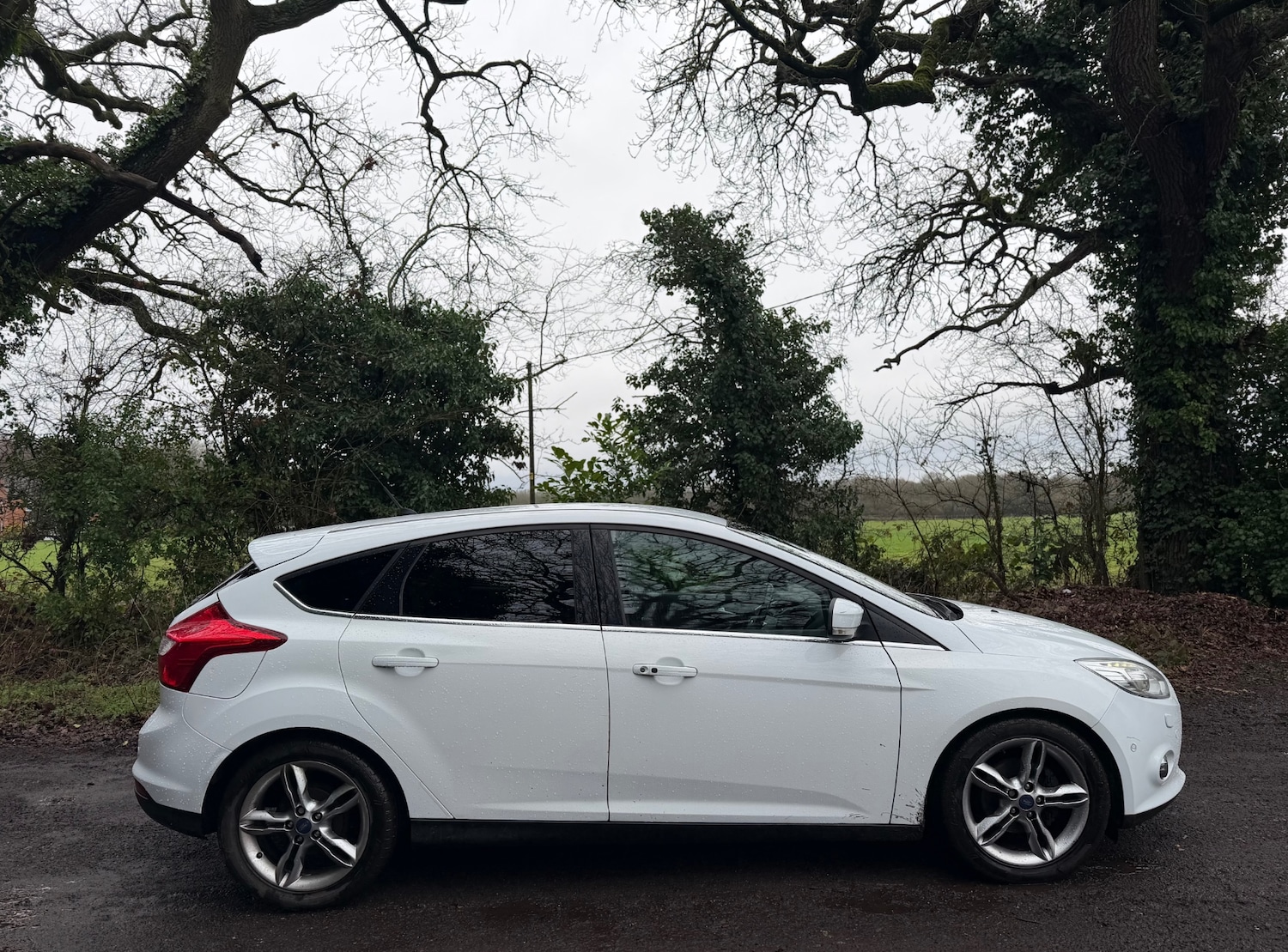 Used Ford Focus 2013 for sale - 77637950: Photo 18