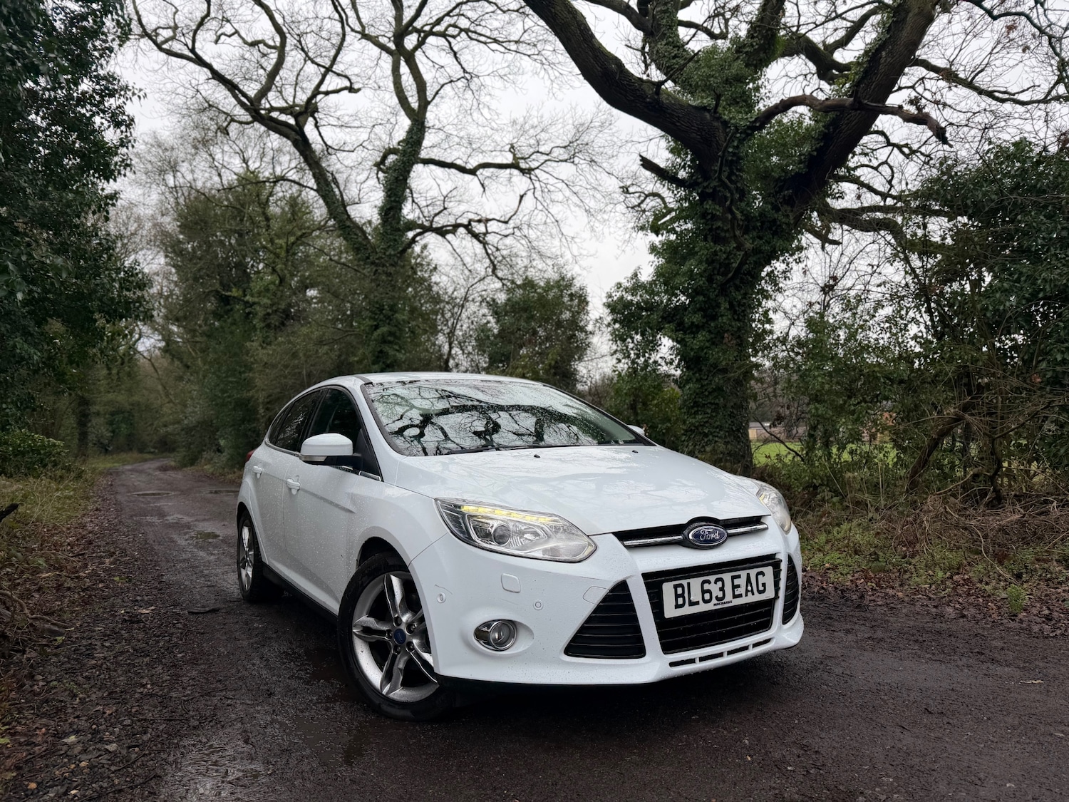 Used Ford Focus 2013 for sale - 77637950: Photo 19
