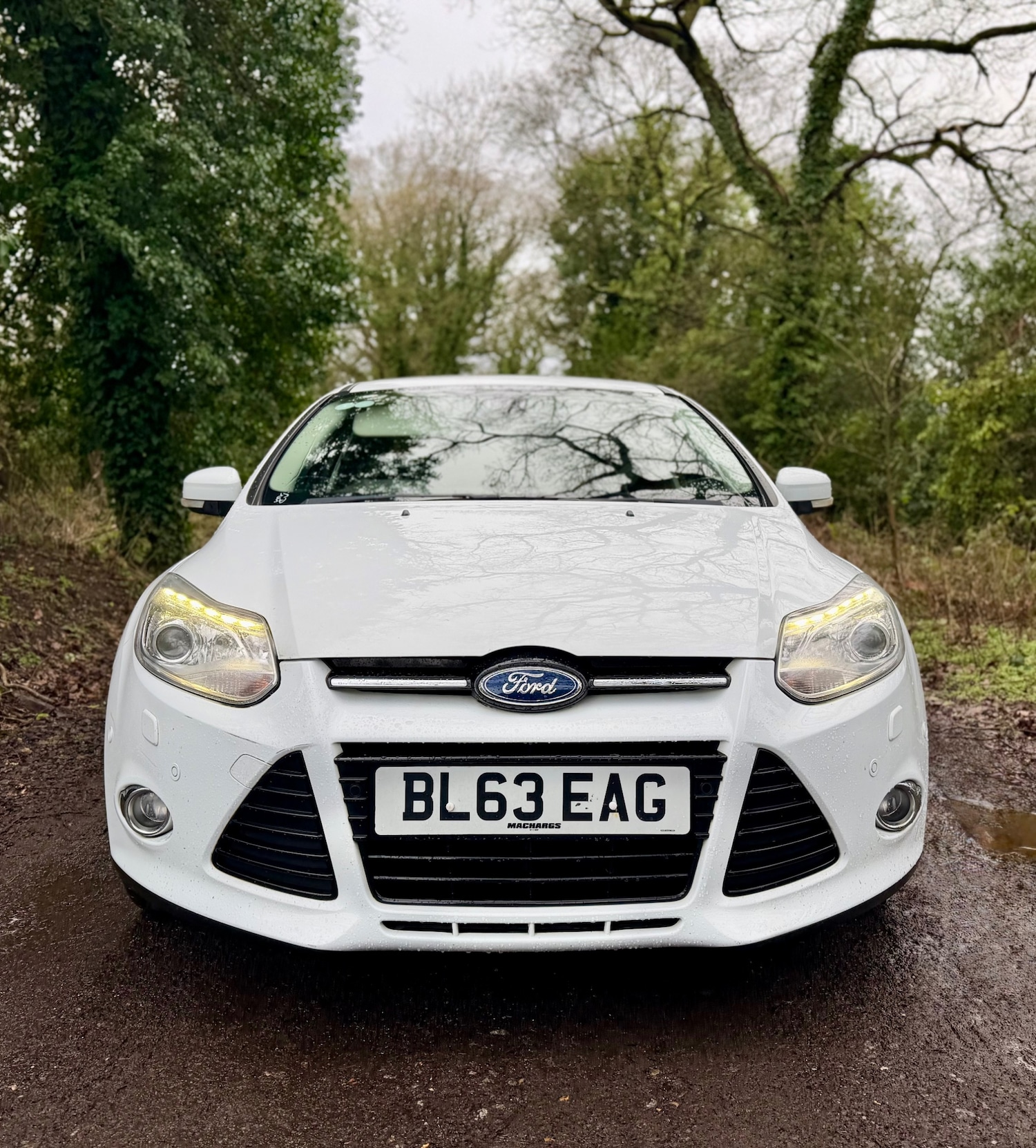 Used Ford Focus 2013 for sale - 77637950: Photo 3