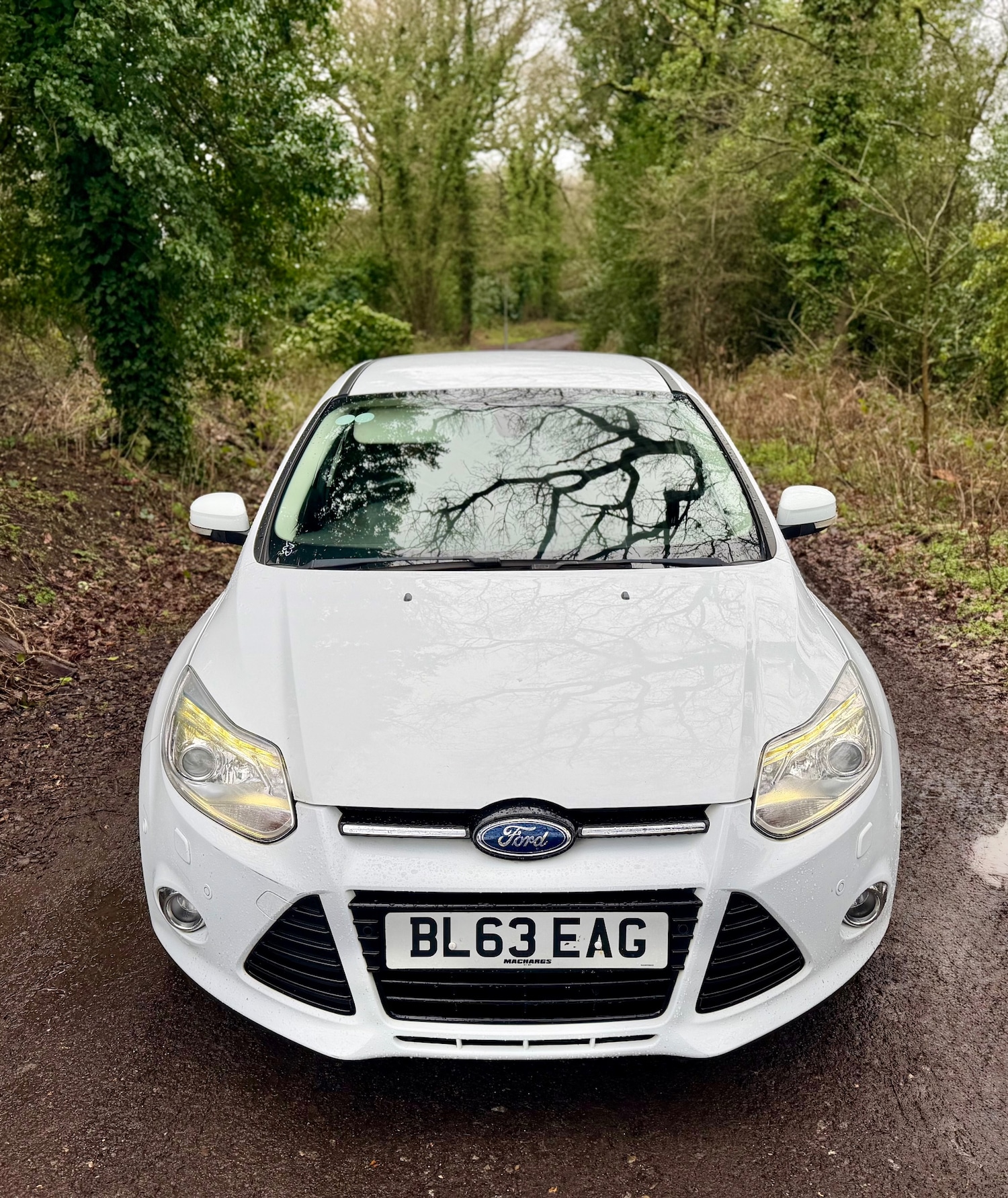 Used Ford Focus 2013 for sale - 77637950: Photo 4