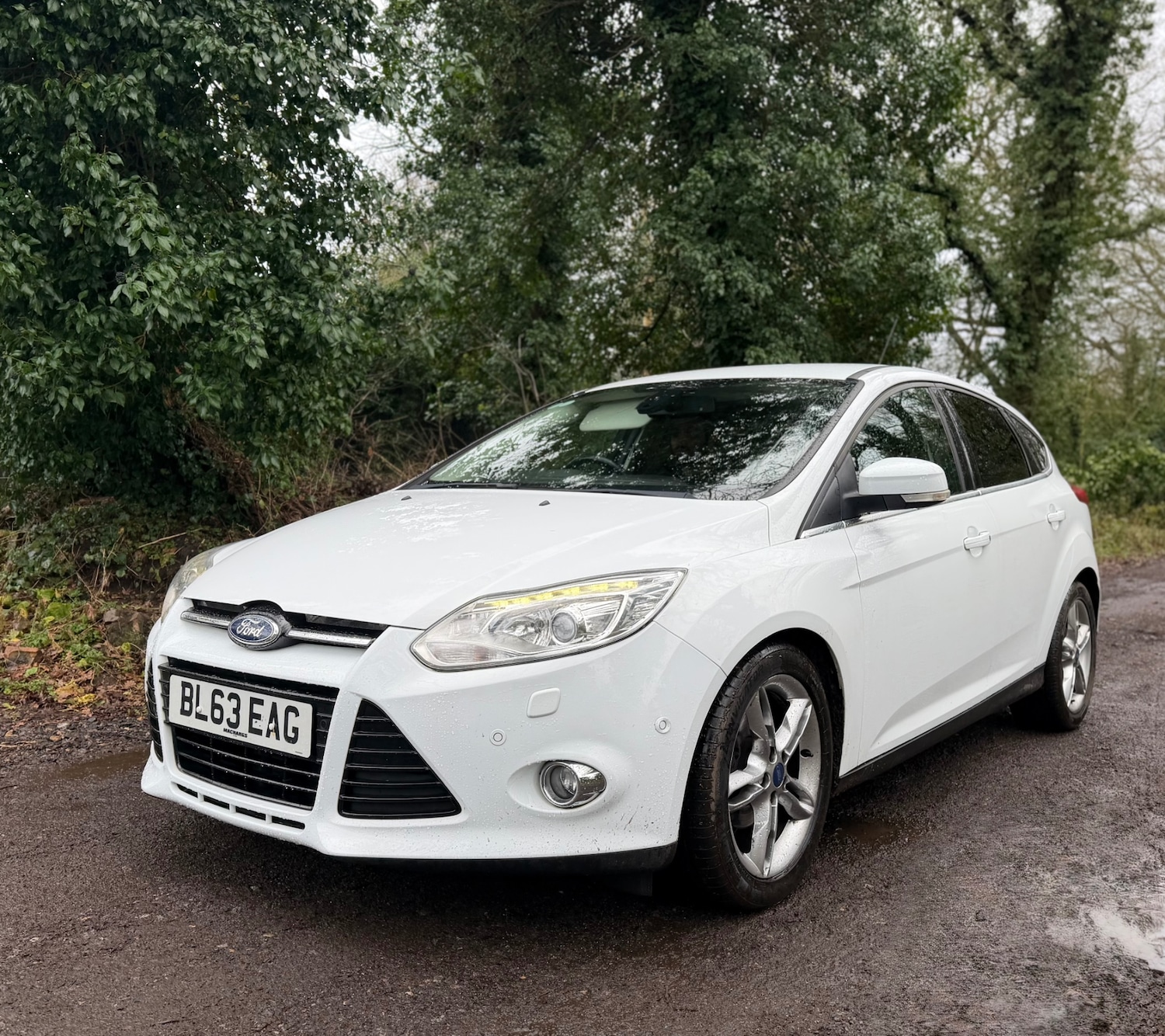 Used Ford Focus 2013 for sale - 77637950: Photo 5