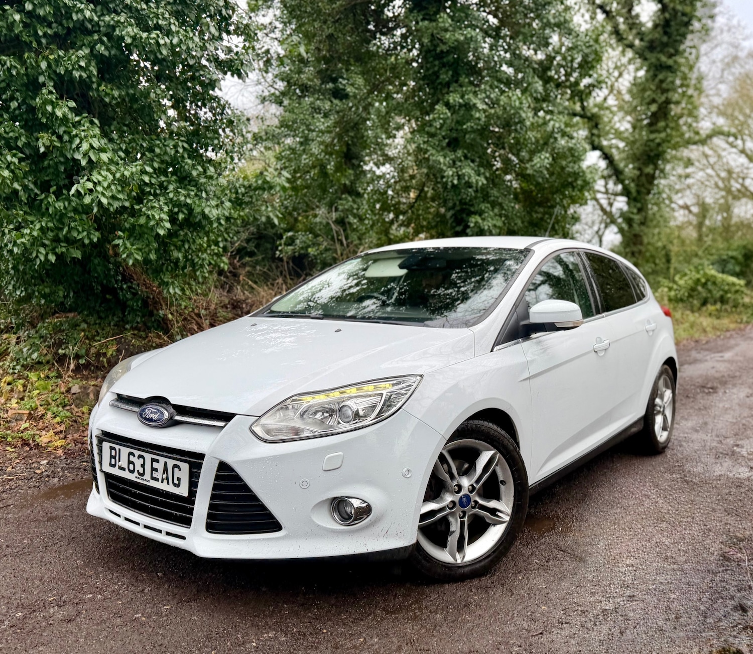 Used Ford Focus 2013 for sale - 77637950: Photo 6