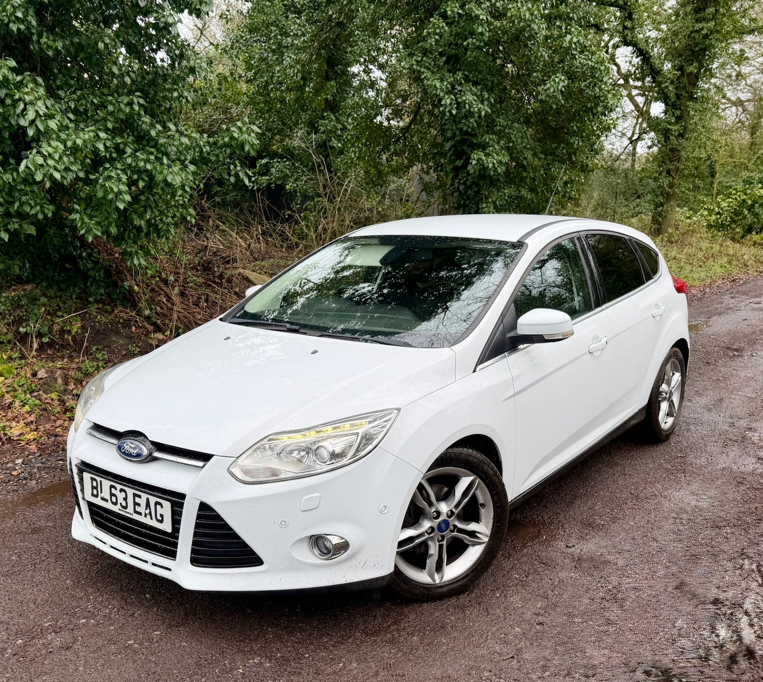 Used Ford Focus 2013 for sale - 77637950: Photo 7