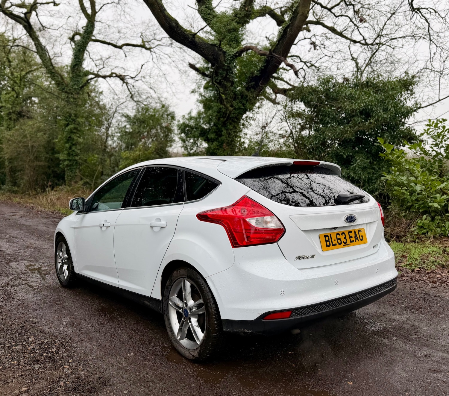 Used Ford Focus 2013 for sale - 77637950: Photo 9