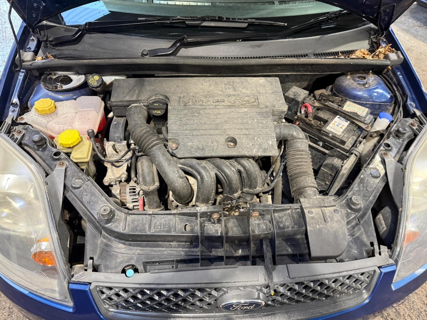 Used Ford Fiesta 2008 for sale - 77459962: Photo 45