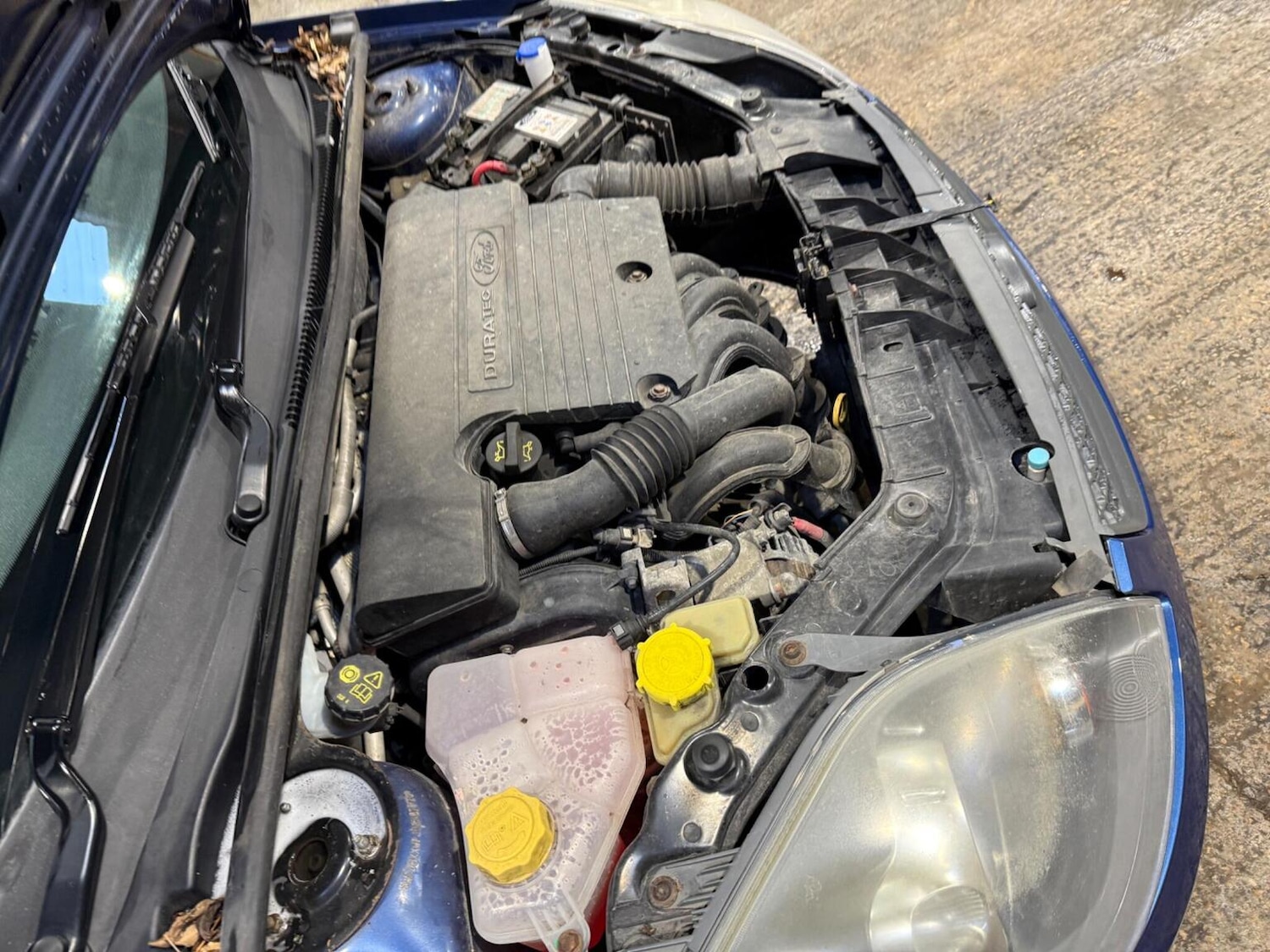 Used Ford Fiesta 2008 for sale - 77459962: Photo 46