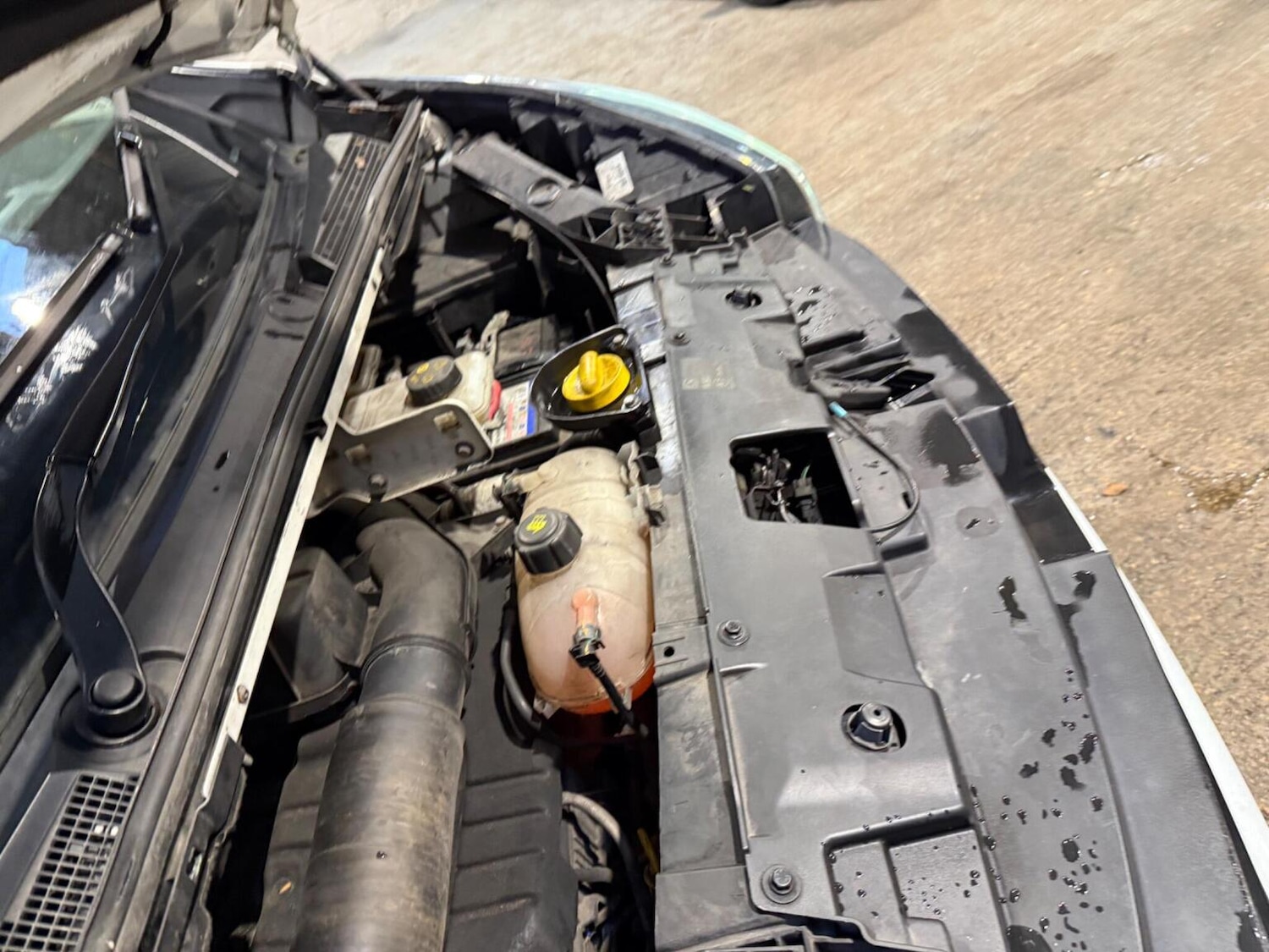 Used Renault Trafic 2019 for sale - 76488669: Photo 51