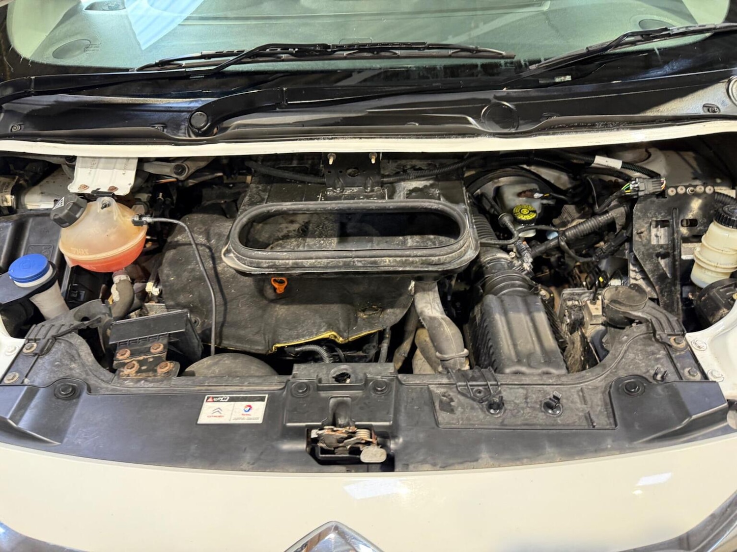 Used Citroen Dispatch 2015 for sale - 76317441: Photo 55