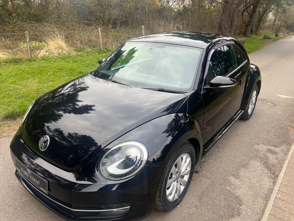 Used Volkswagen Beetle 2025 for sale - 75130247: Photo 13