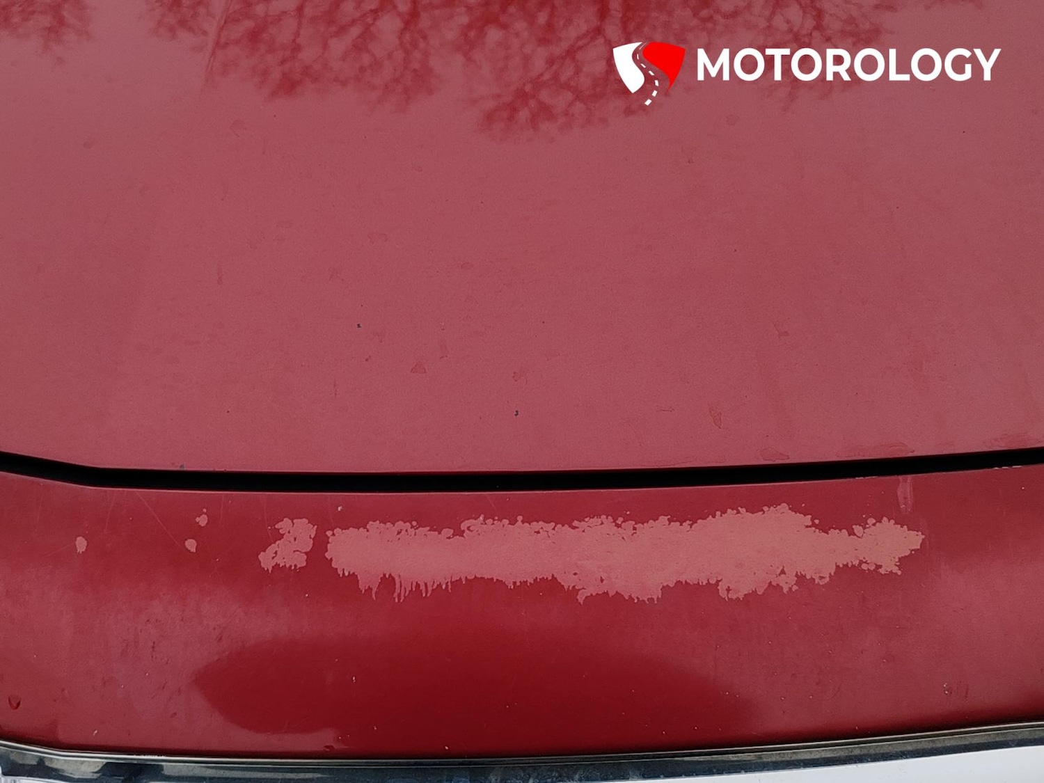 Used Vauxhall Insignia 2009 for sale - 77797865: Photo 43