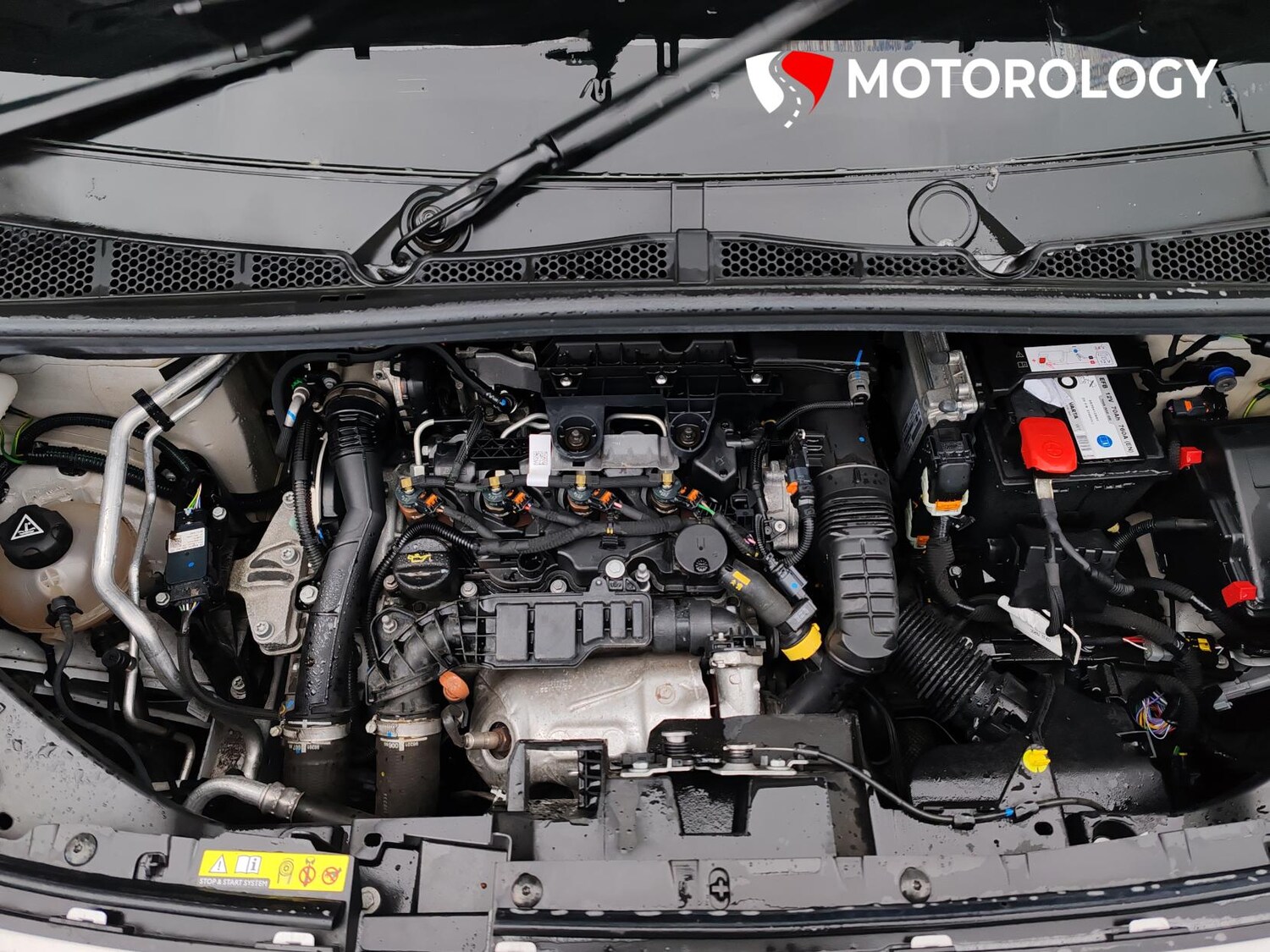 Used Citroen Berlingo 2023 for sale - 77170703: Photo 35