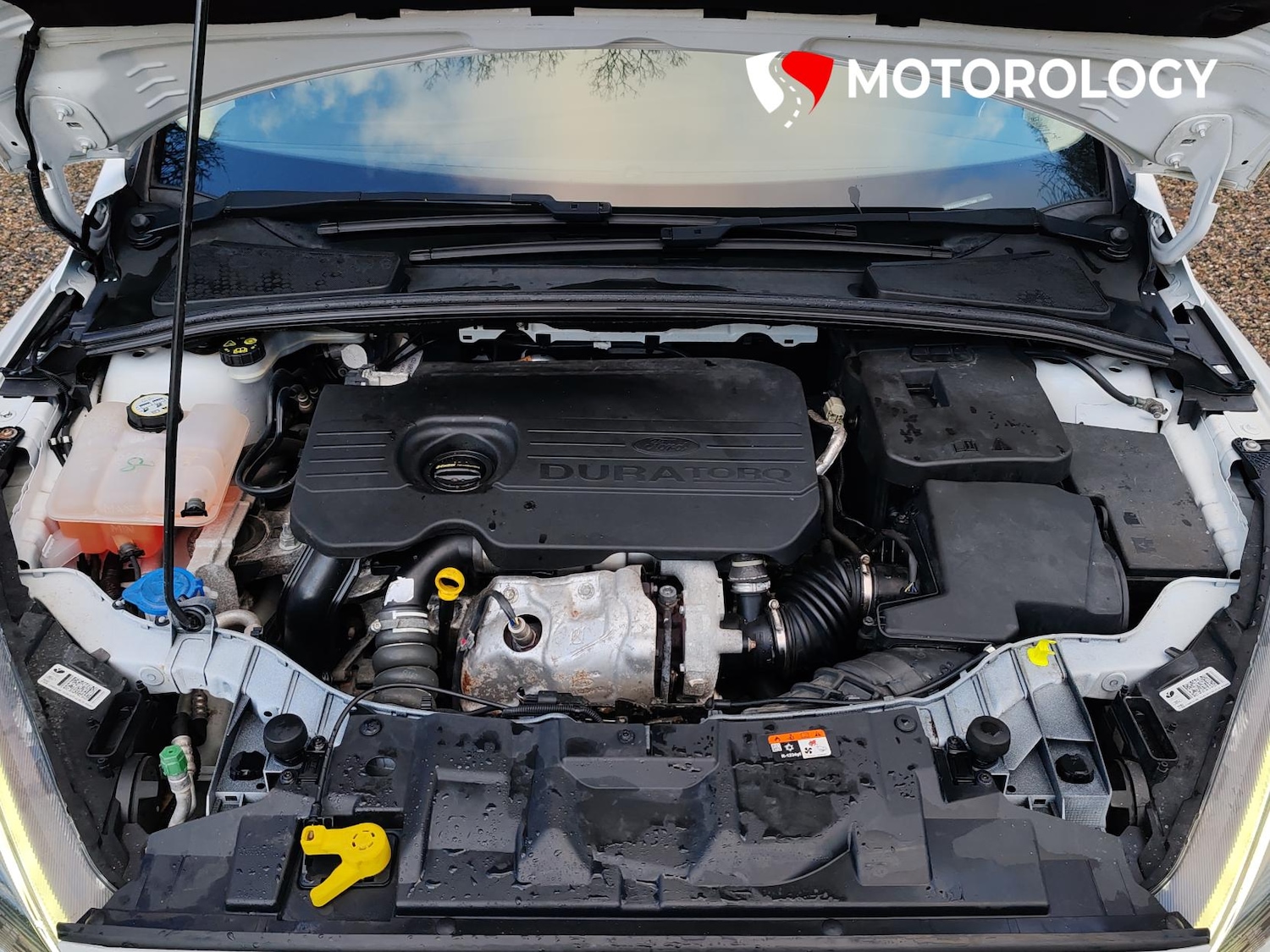 Used Ford Focus 2018 for sale - 77099920: Photo 41