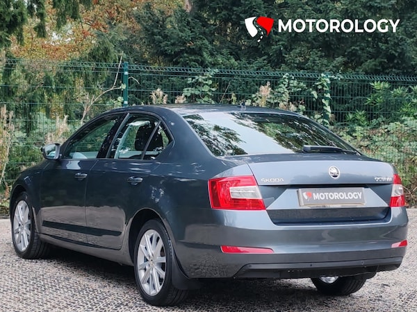 Used Skoda Octavia 2015 for sale - 76290592: Photo 4