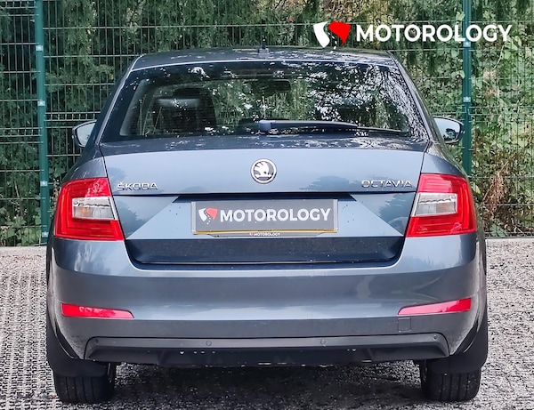 Used Skoda Octavia 2015 for sale - 76290592: Photo 7