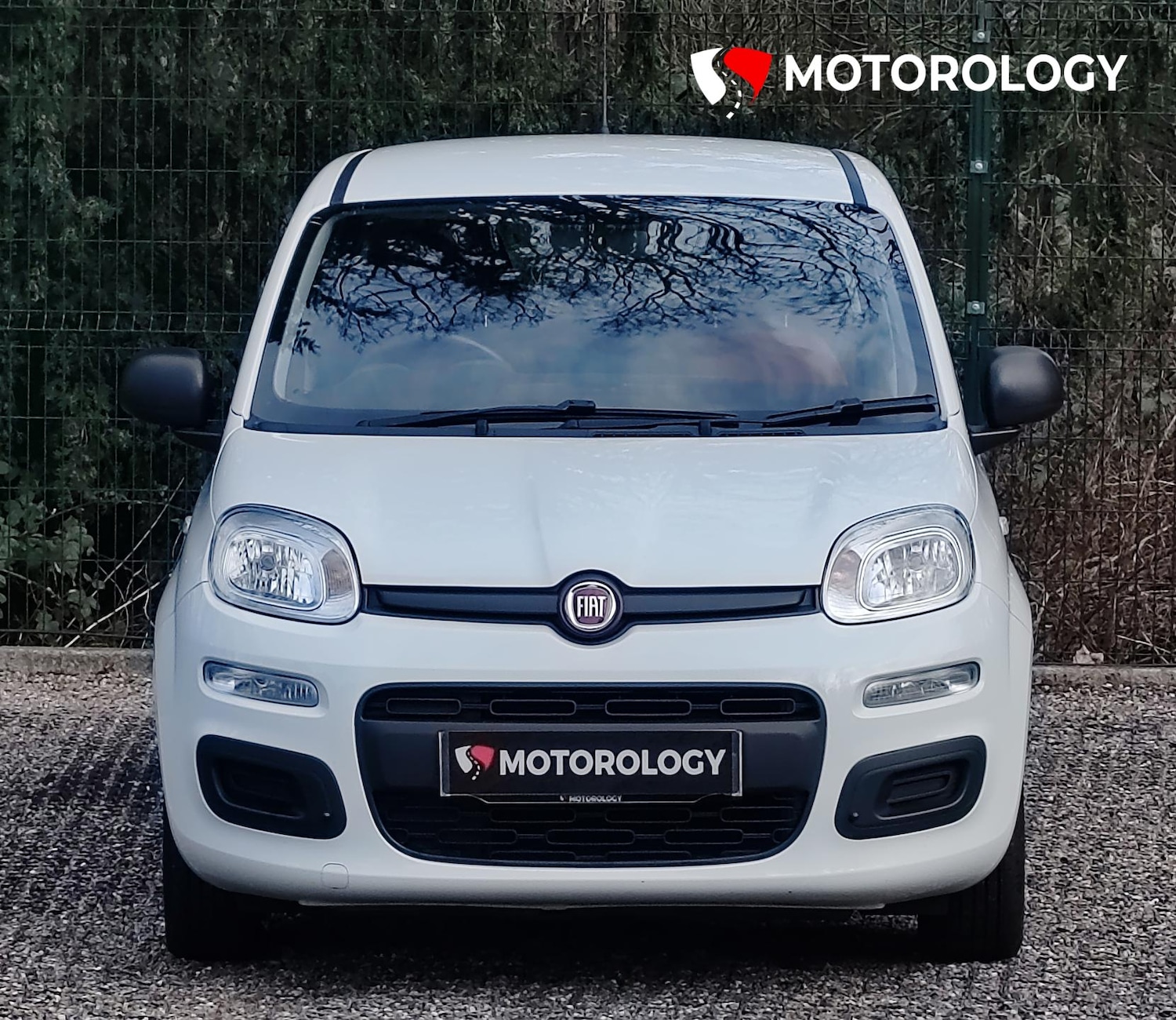 Used Fiat Panda 2019 for sale - 77640937: Photo 3