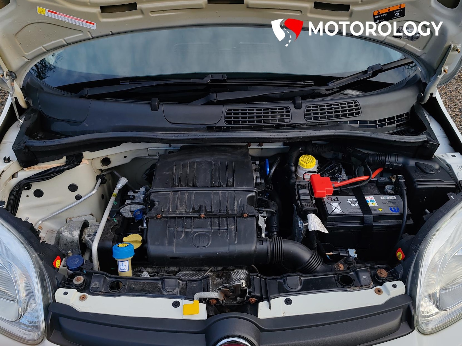 Used Fiat Panda 2019 for sale - 77640937: Photo 9