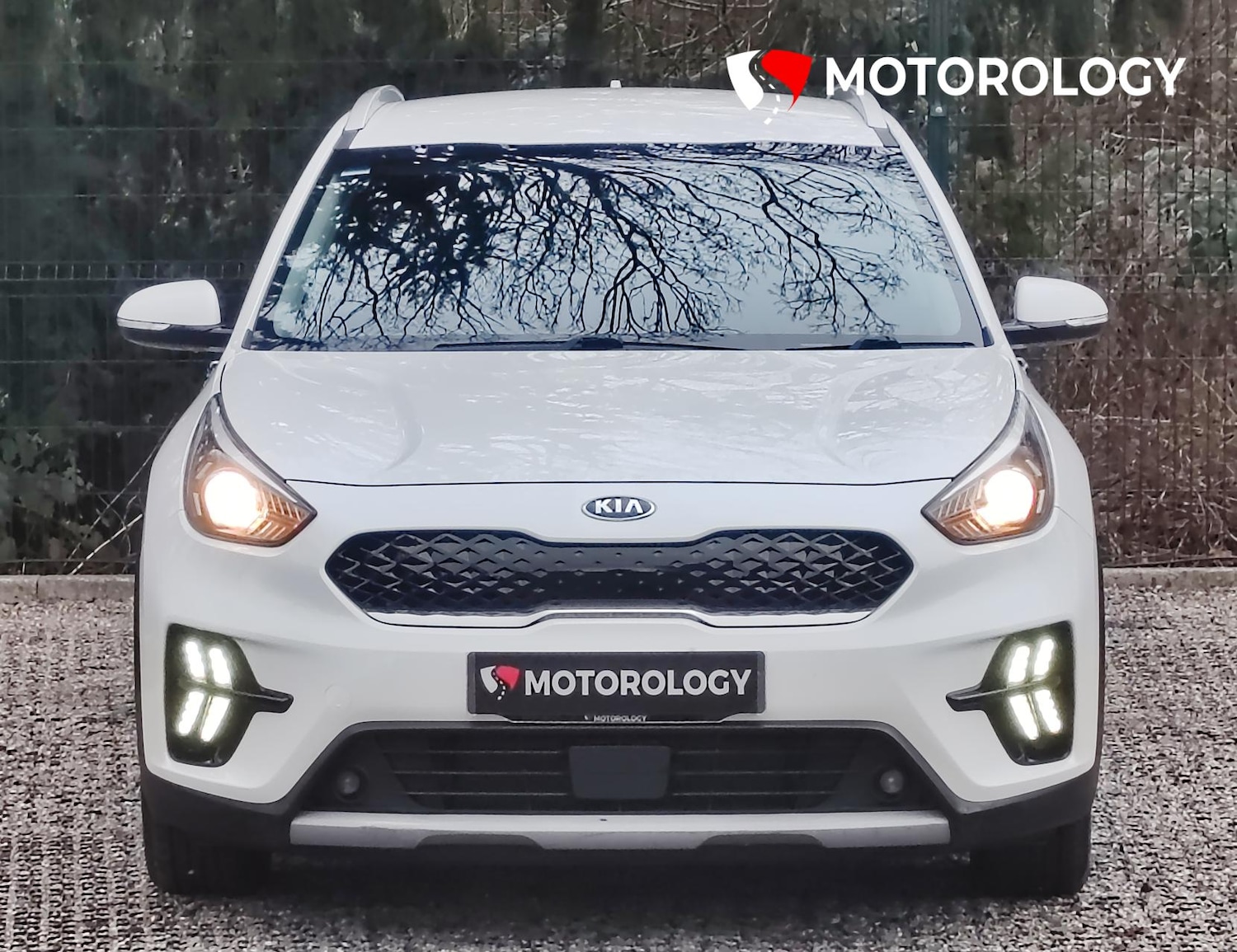 Used Kia Niro 2019 for sale - 77261857: Photo 6