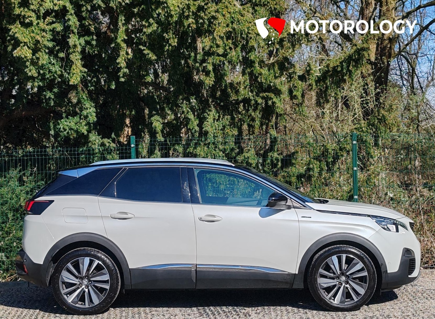 Used Peugeot 3008 2019 for sale - 77931223: Photo 12