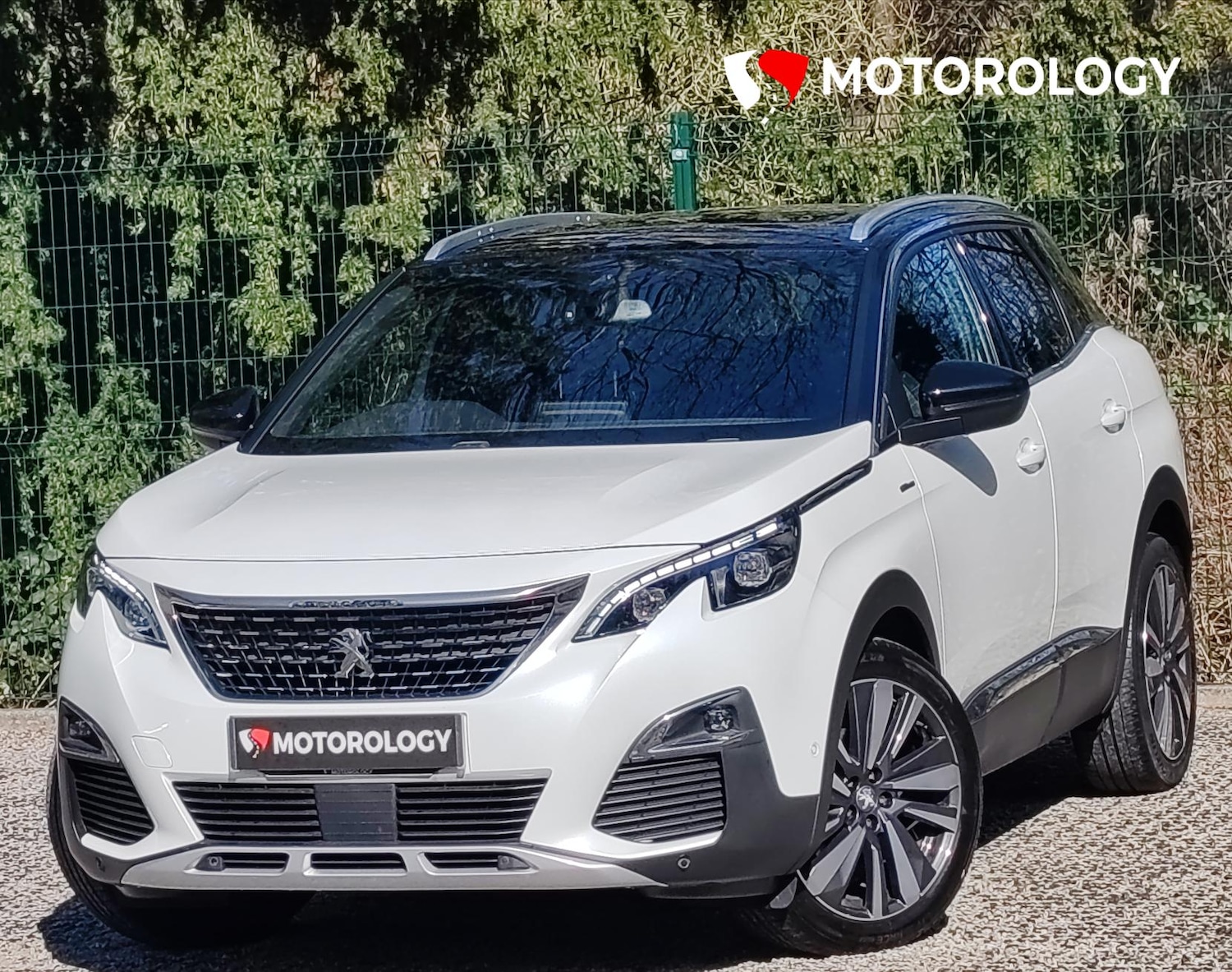 Used Peugeot 3008 2019 for sale - 77931223: Photo 2