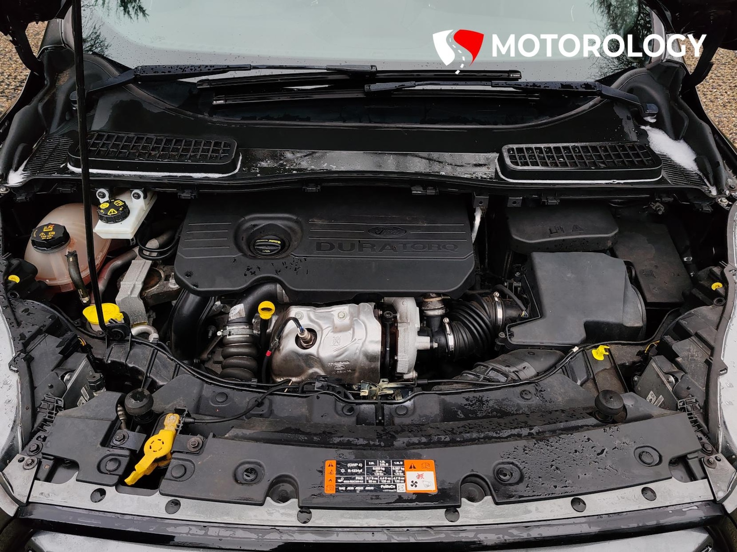 Used Ford Kuga 2018 for sale - 77702868: Photo 36