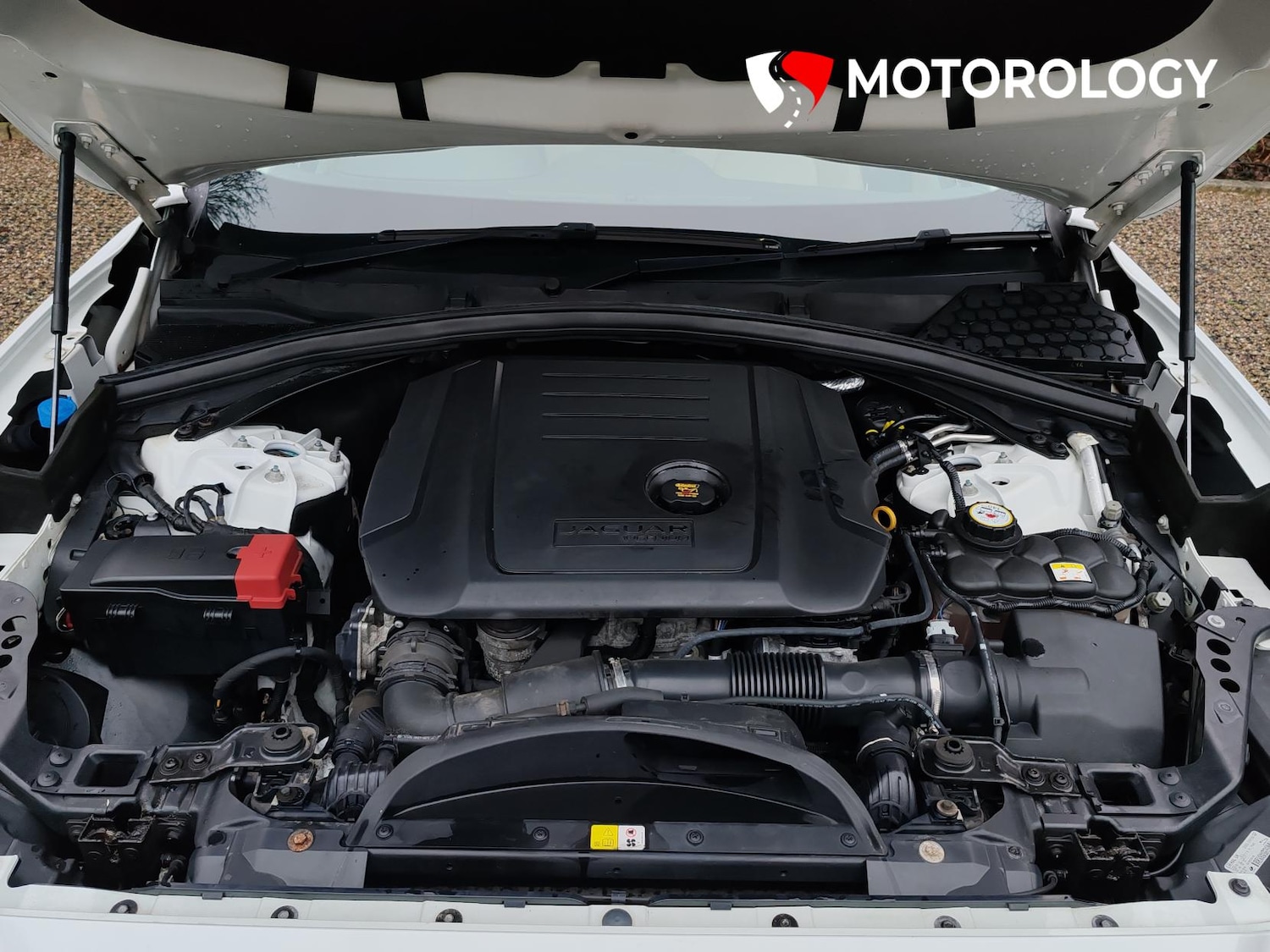 Used Jaguar F-Pace 2018 for sale - 77160797: Photo 44