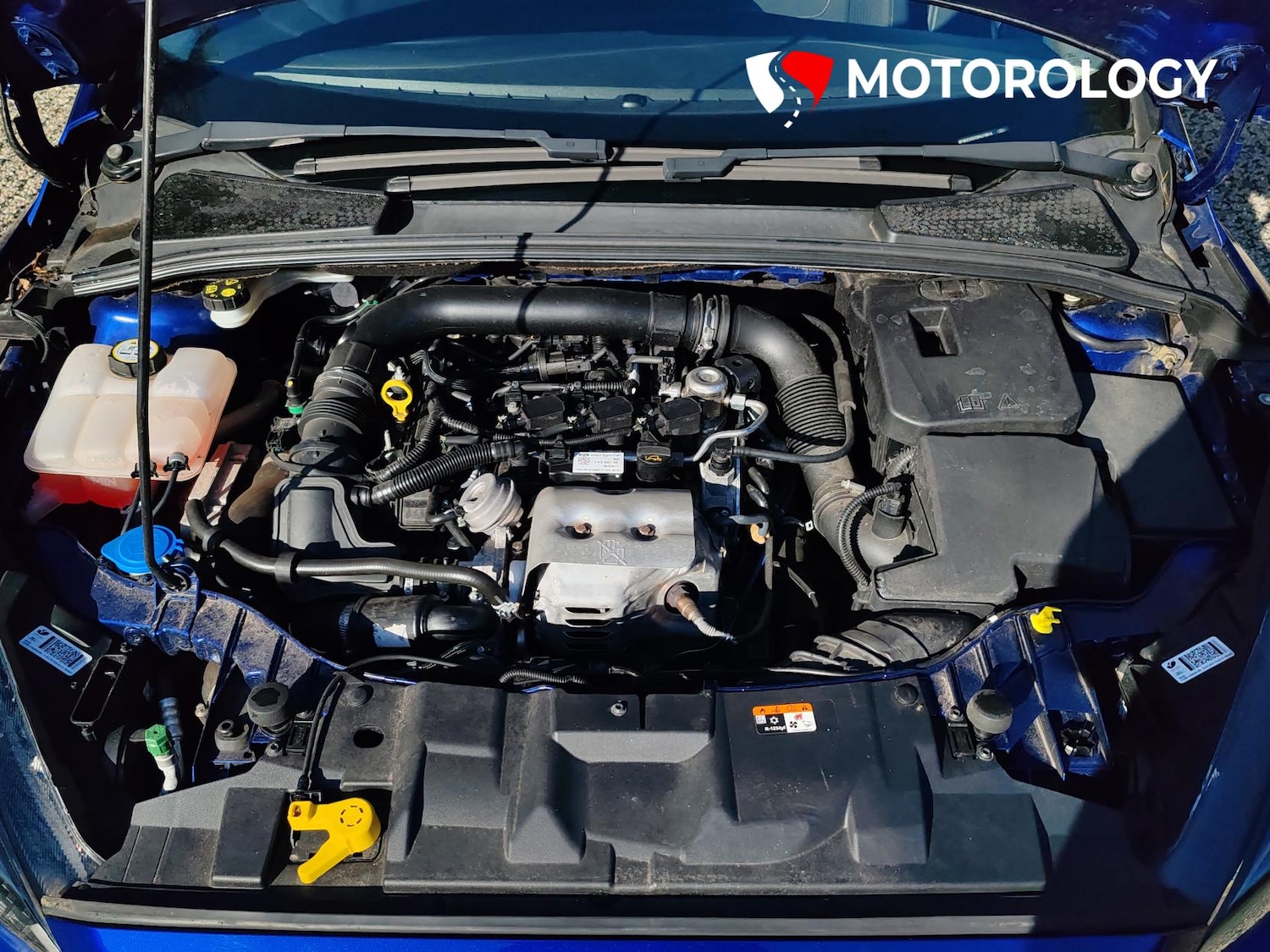 Used Ford Focus 2017 for sale - 77732751: Photo 39