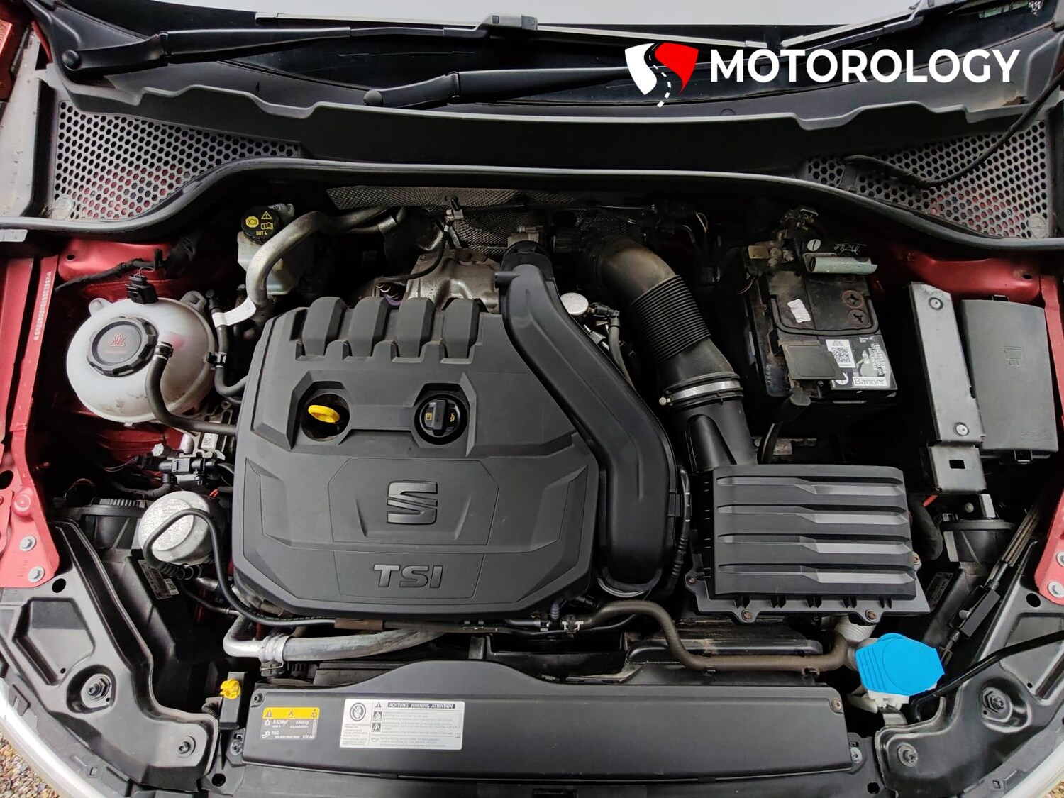 Used SEAT Leon 2019 for sale - 76127514: Photo 41