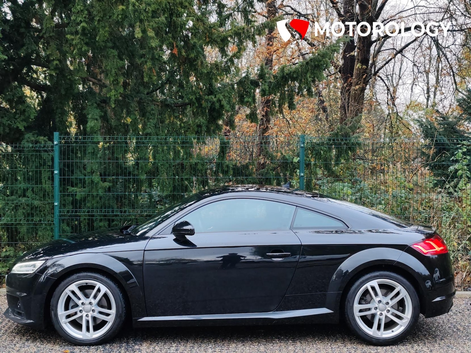 Used Audi TT 2019 for sale - 76461668: Photo 10