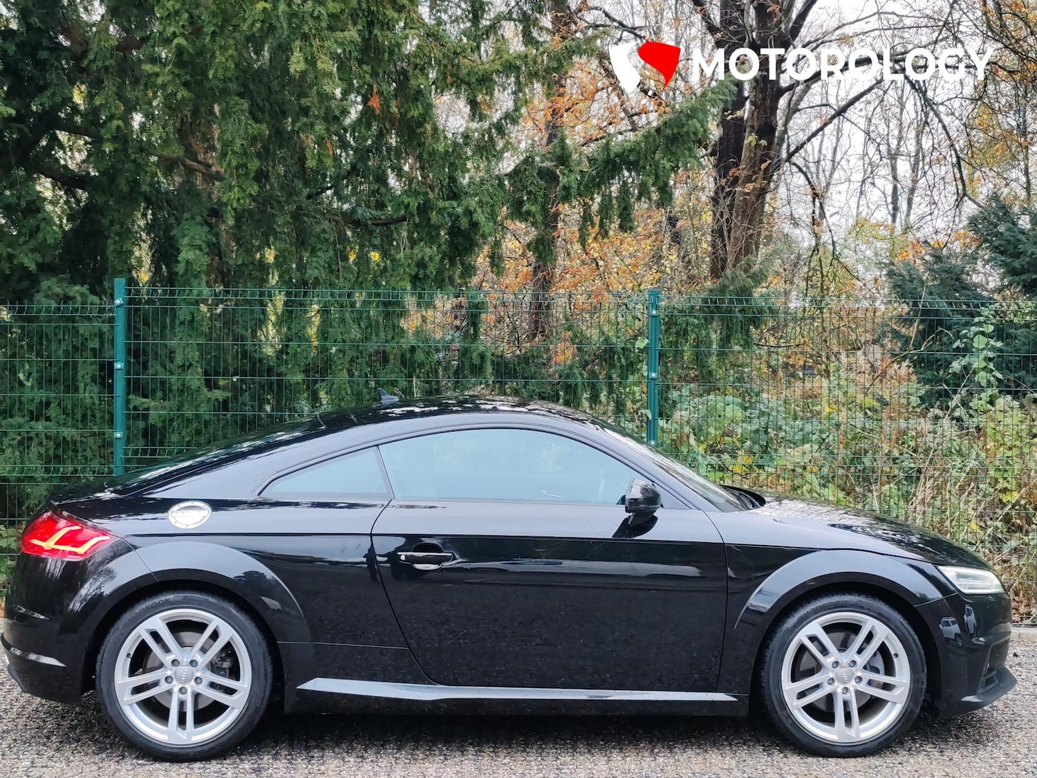 Used Audi TT 2019 for sale - 76461668: Photo 9
