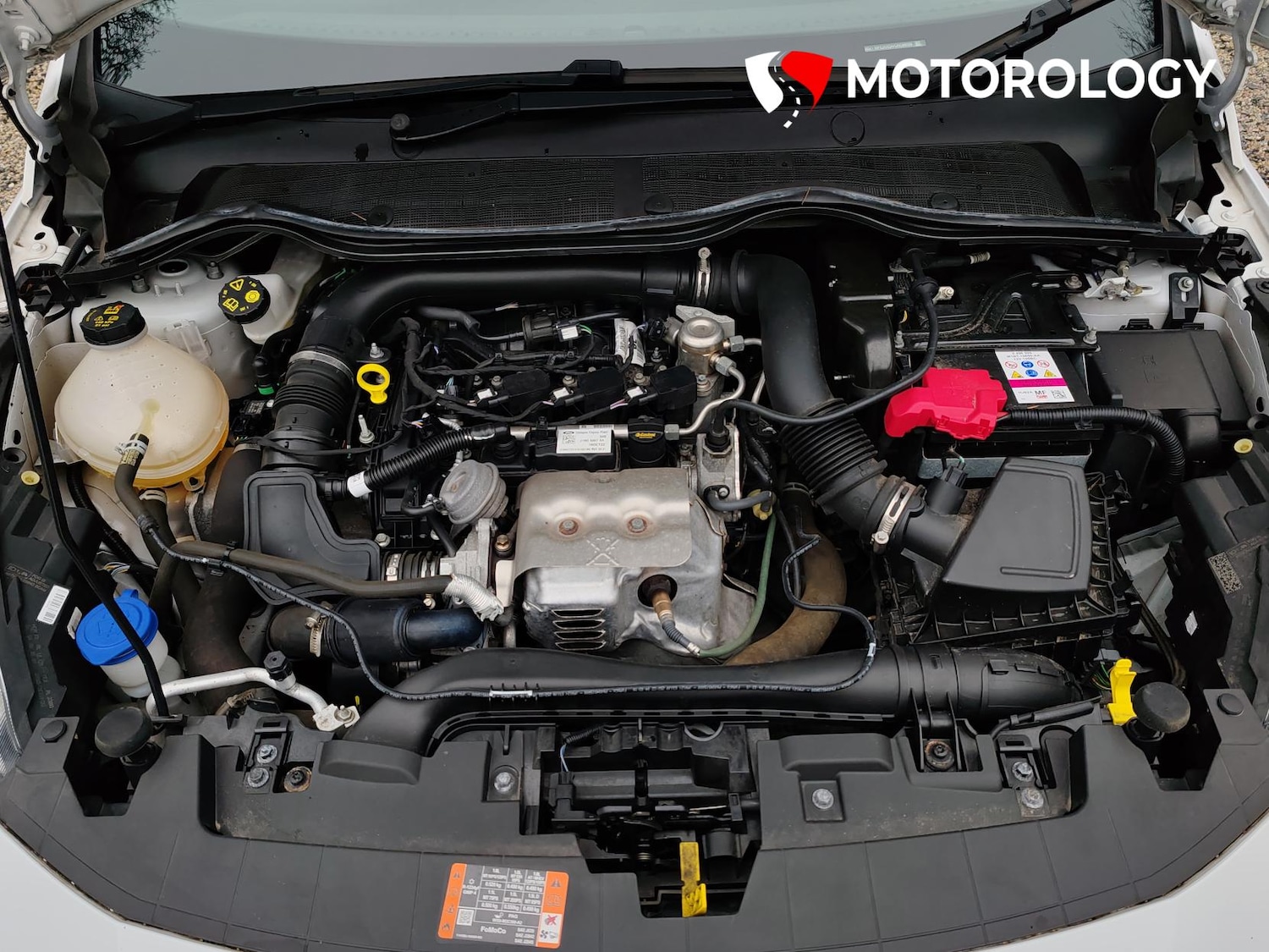 Used Ford Fiesta 2022 for sale - 78067631: Photo 43