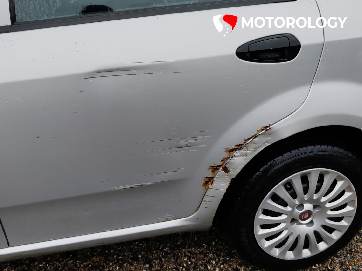 Used Fiat Punto Evo 2010 for sale - 77165565: Photo 10