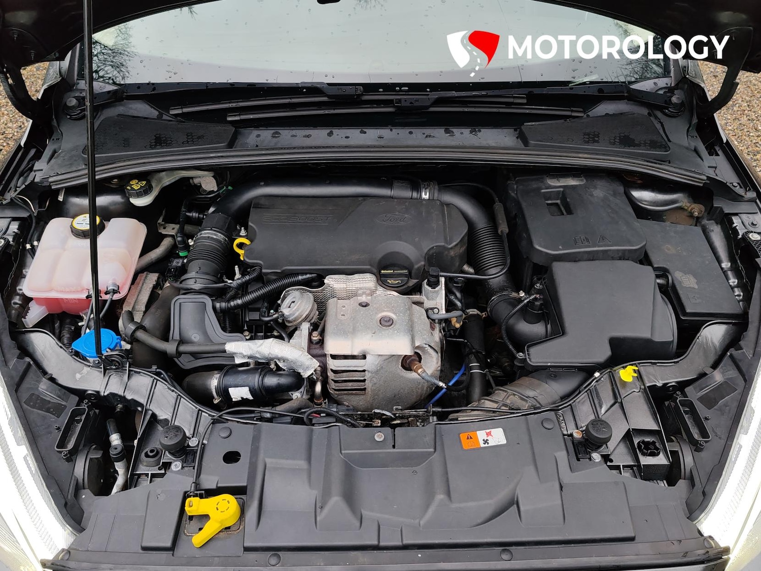 Used Ford Focus 2015 for sale - 77563424: Photo 43