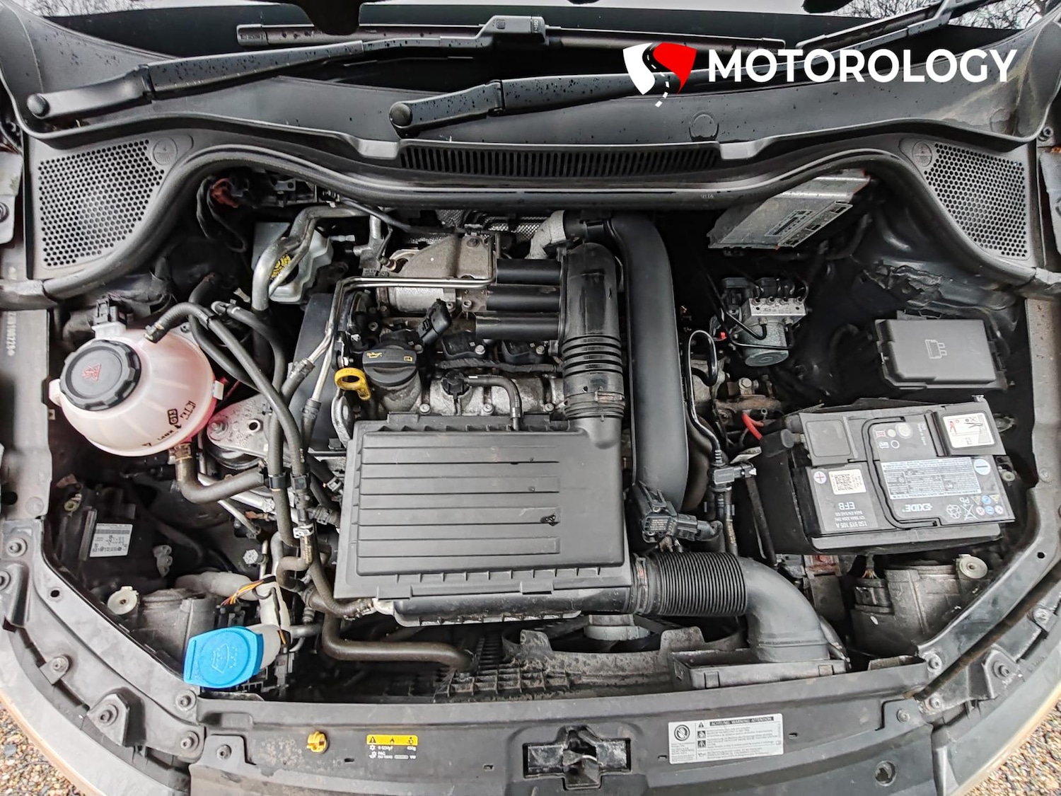 Used Volkswagen Polo 2017 for sale - 76957318: Photo 37